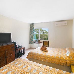Habitación Básica